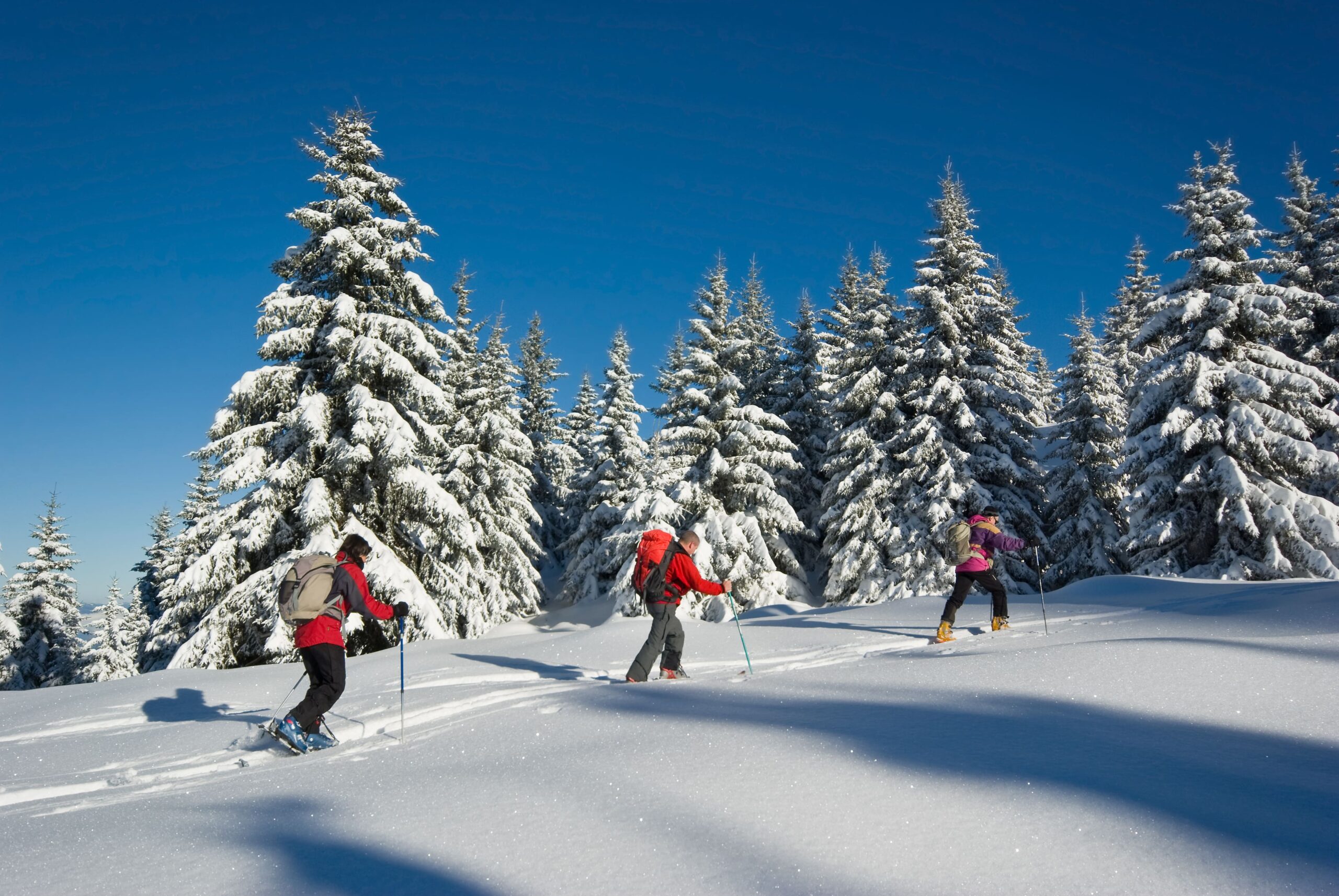 Raquettes à neige disponibles à la réservation - Ubaye